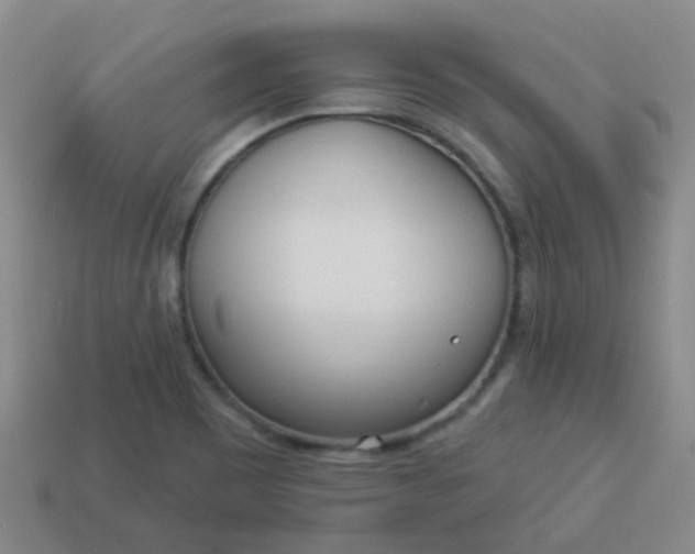 X0000114131465200910221454