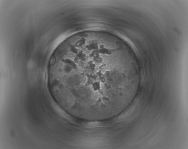 X0000114131467200910221454