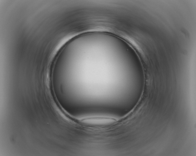 X0000114131468200910221454