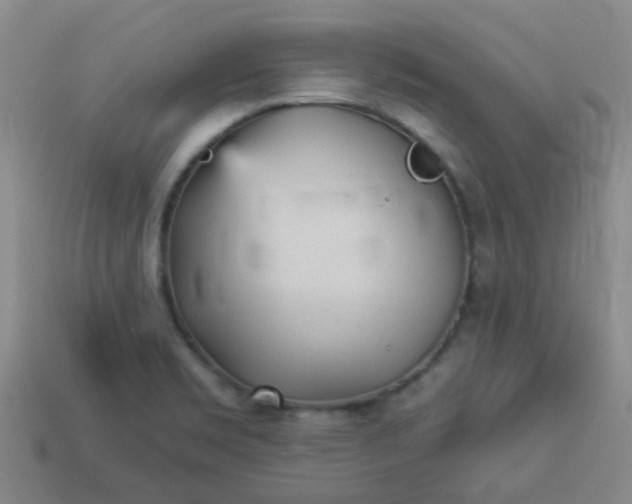 X0000114131469200910221454