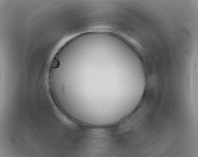 X0000114131470200910221454