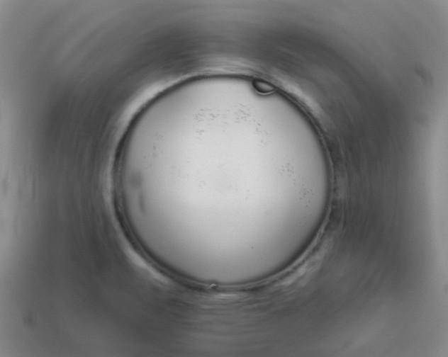 X0000114131471200910221454