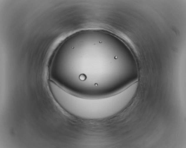 X0000114131472200910221454