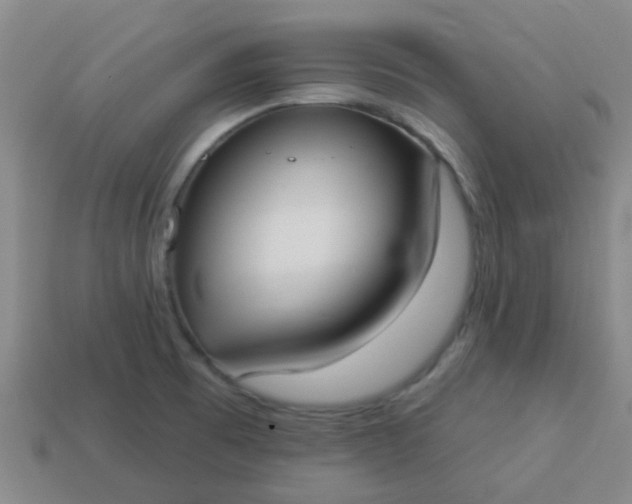 X0000114131473200910221454