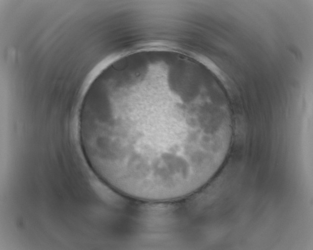 X0000114131474200910221454