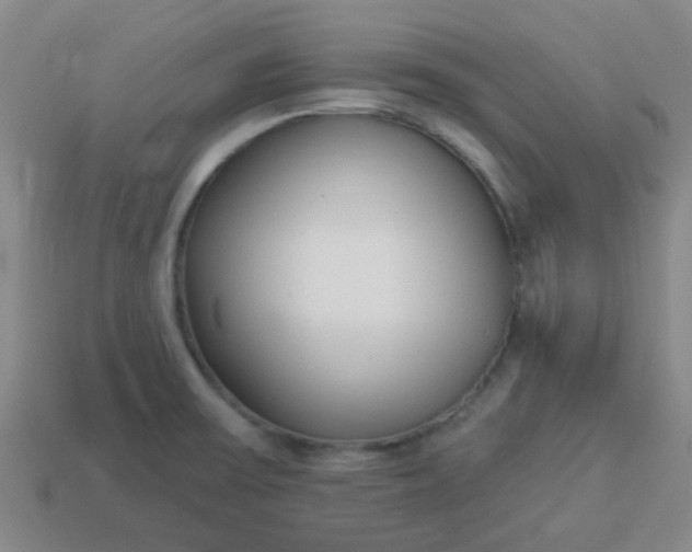 X0000114131475200910221454