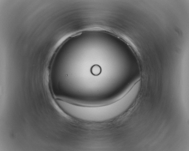 X0000114131476200910221454