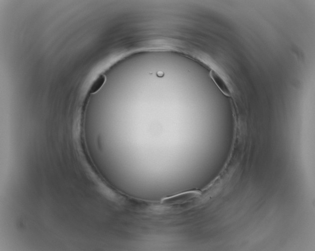 X0000114131477200910221454