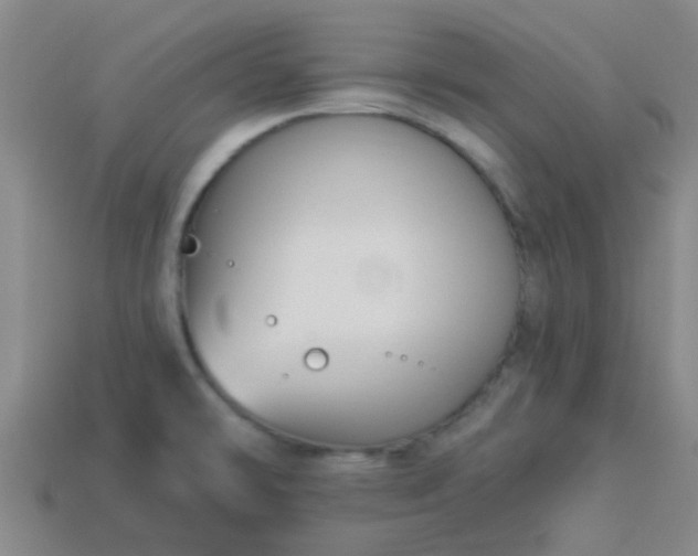 X0000114131478200910221454