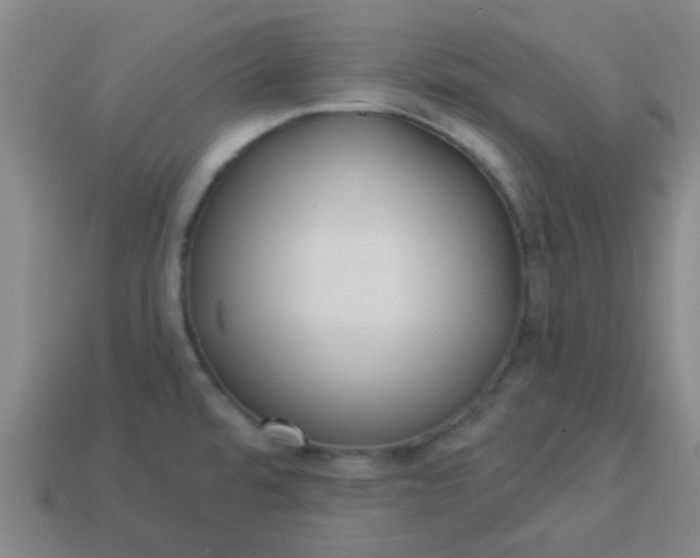 X0000114131480200910221454