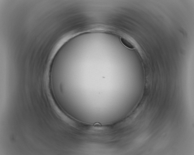 X0000114131483200910221454