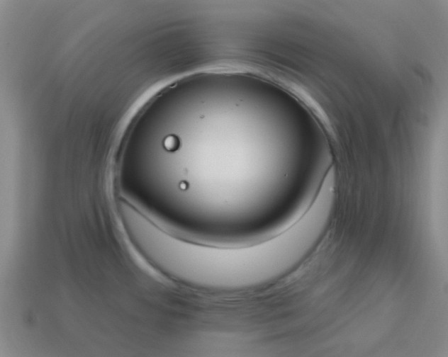 X0000114131484200910221454