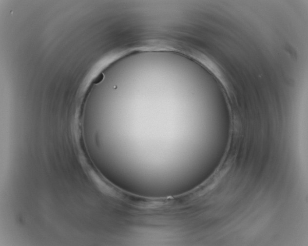 X0000114131485200910221454