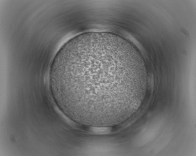 X0000114131487200910221454