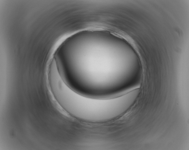 X0000114131488200910221454