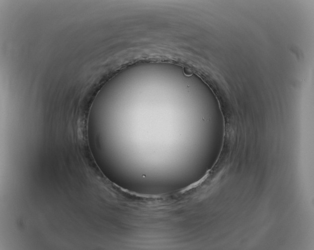 X0000114131490200910221453