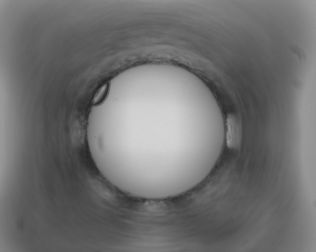 X0000114131491200910221453