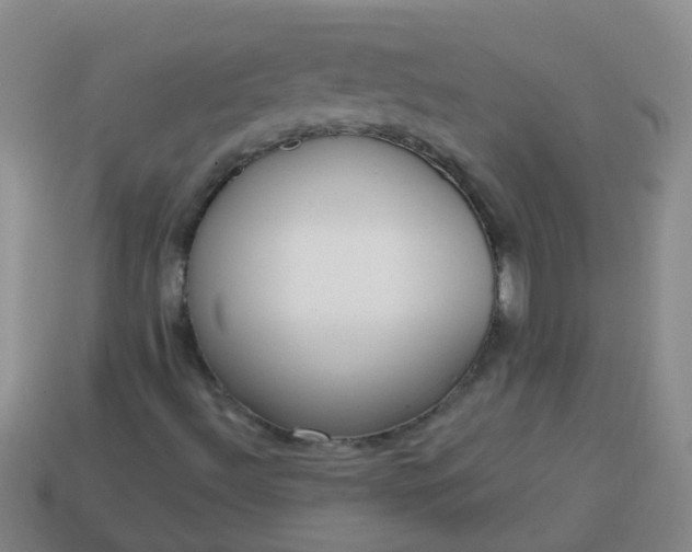 X0000114131492200910221453