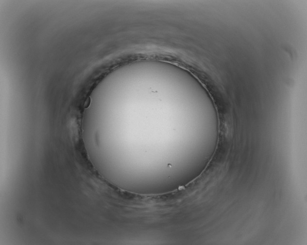 X0000114131493200910221453