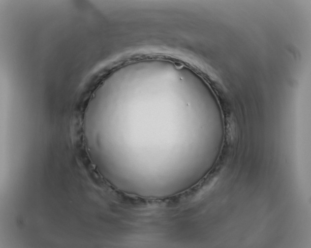 X0000114131494200910221453