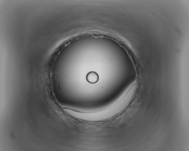 X0000114131496200910221453