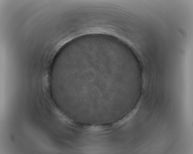 X0000114131497200910221453