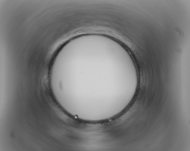 X0000114131498200910221453