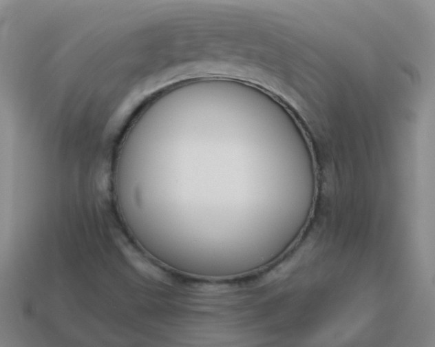 X0000114131499200910221453