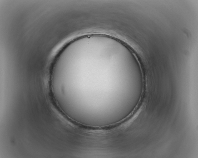 X0000114131502200910221453