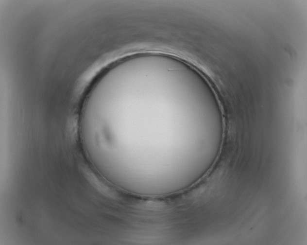 X0000114131503200910221453