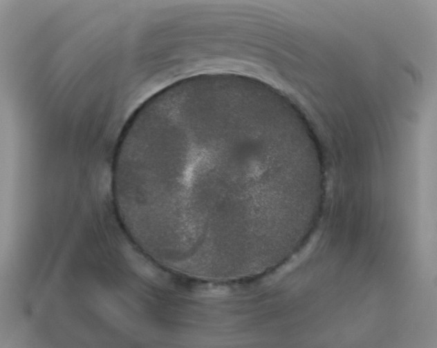 X0000114131505200910221453