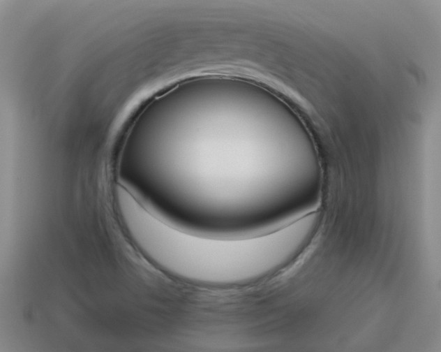 X0000114131506200910221453