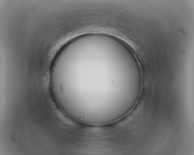 X0000114131507200910221453