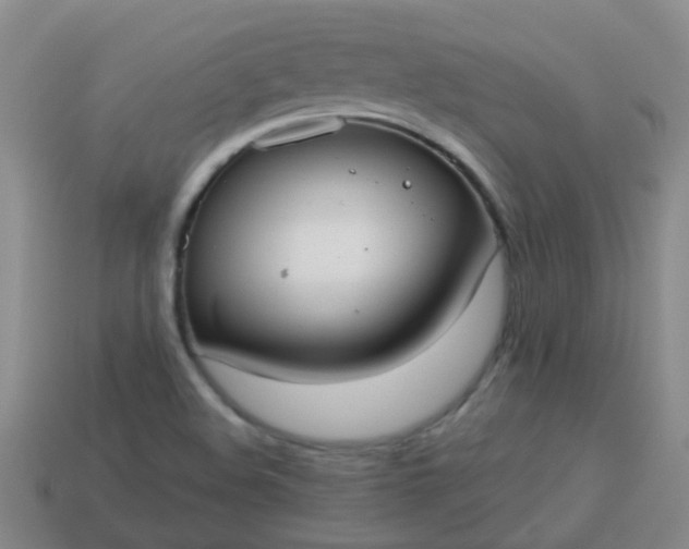 X0000114131508200910221453