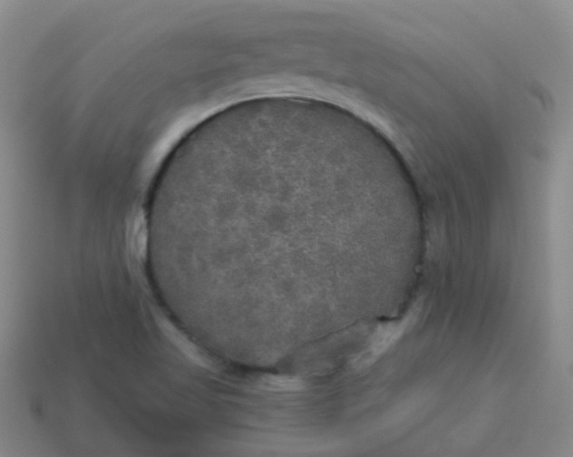 X0000114131509200910221453