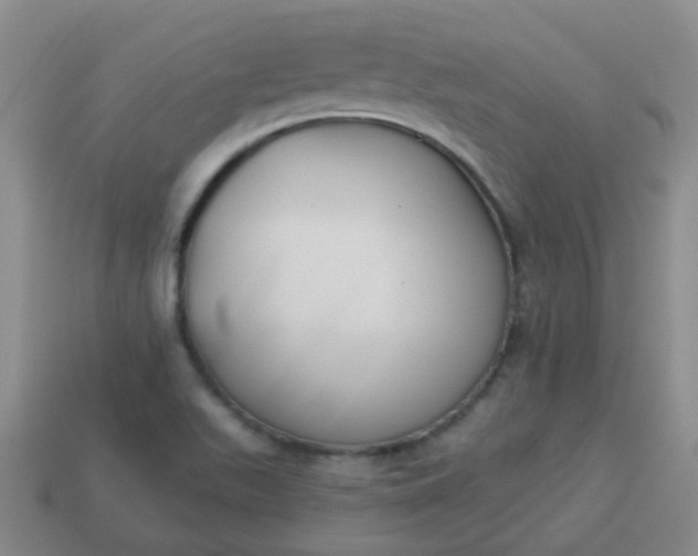 X0000114131511200910221453