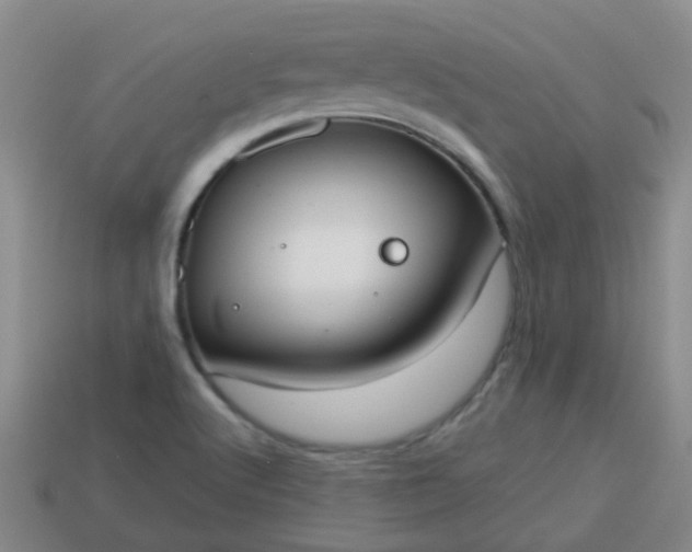 X0000114131512200910221453