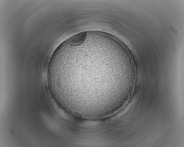 X0000114131513200910221453