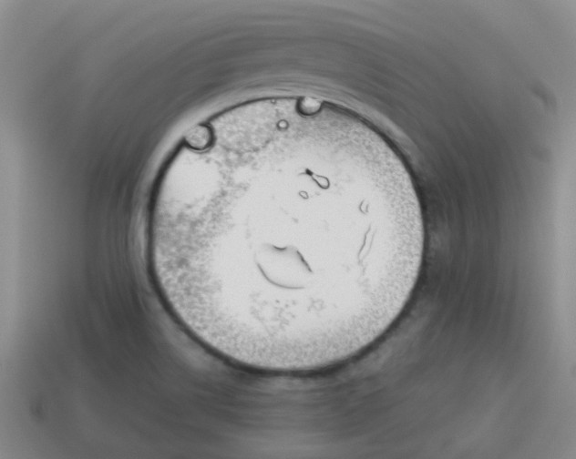 X0000114131514200910221453