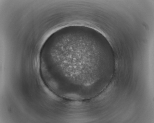 X0000114131515200910221453