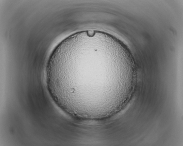 X0000114131517200910221453