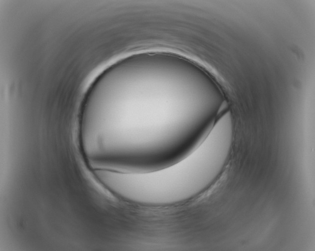 X0000114131518200910221453