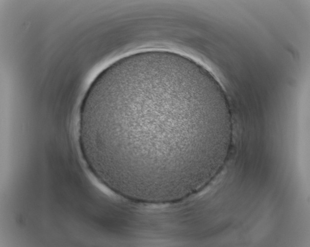 X0000114131519200910221453