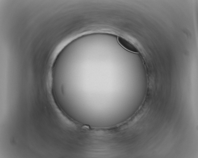 X0000114131520200910221453