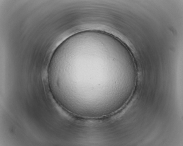 X0000114131521200910221453