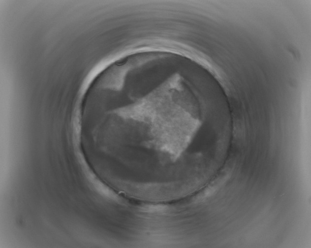 X0000114131522200910221453