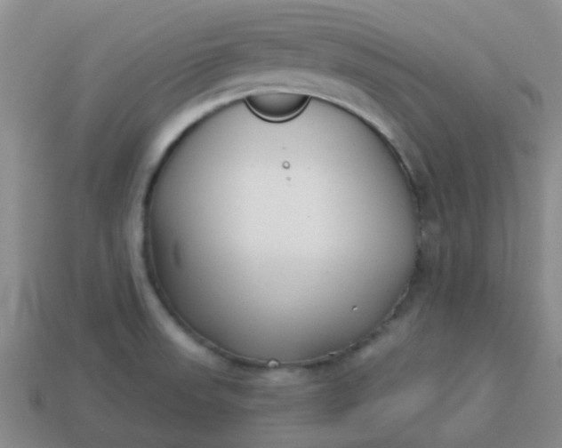 X0000114131523200910221453