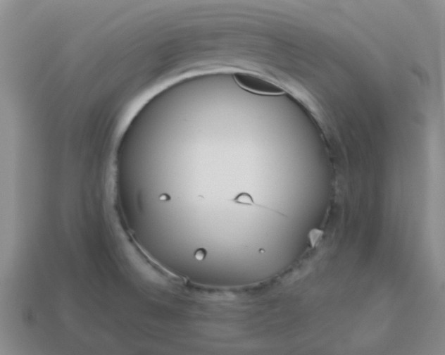 X0000114131524200910221453