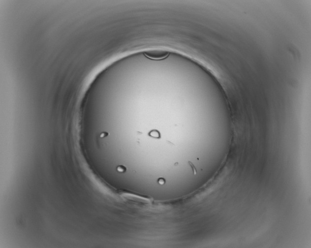 X0000114131526200910221453