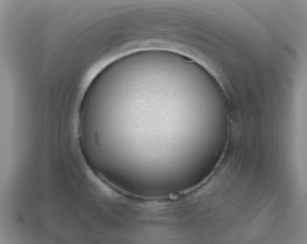 X0000114131527200910221453